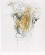 Autoritratto beatificato, 2007